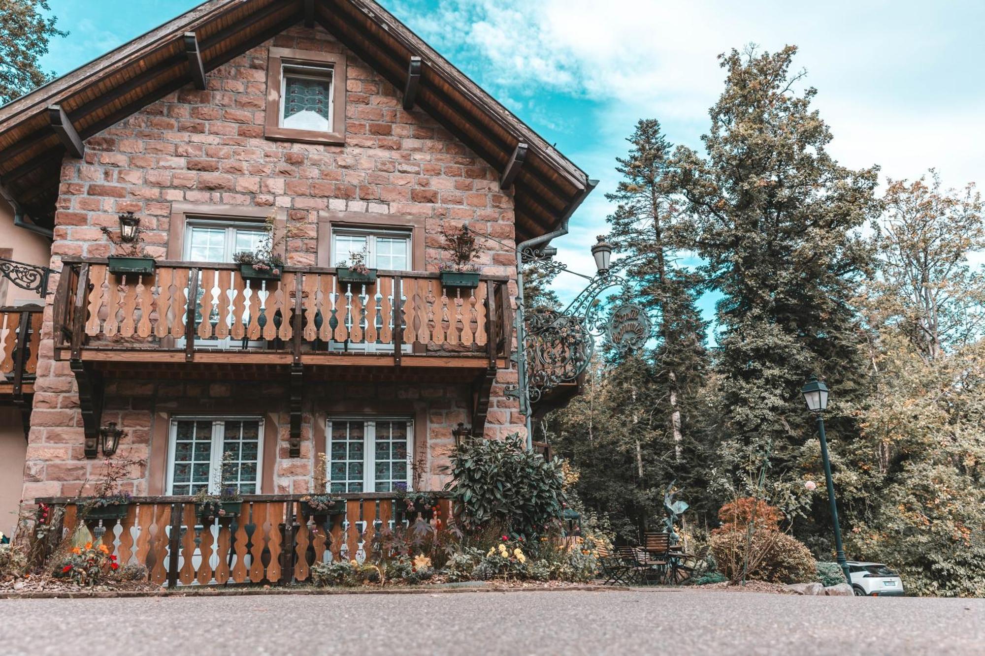 Les Violettes Hotel & Spa Jungholtz Zewnętrze zdjęcie
